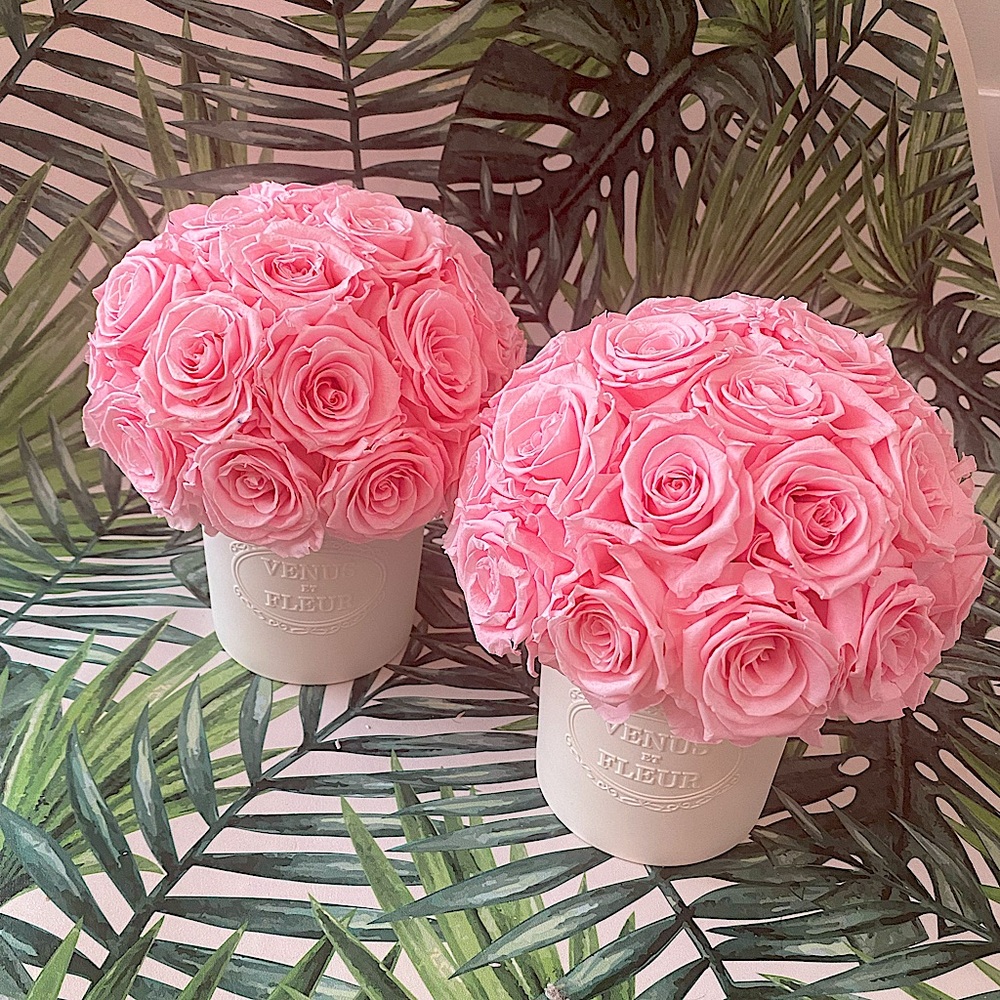 venus et fleur eternity rose fleura vase roses maison collection porcelain pink